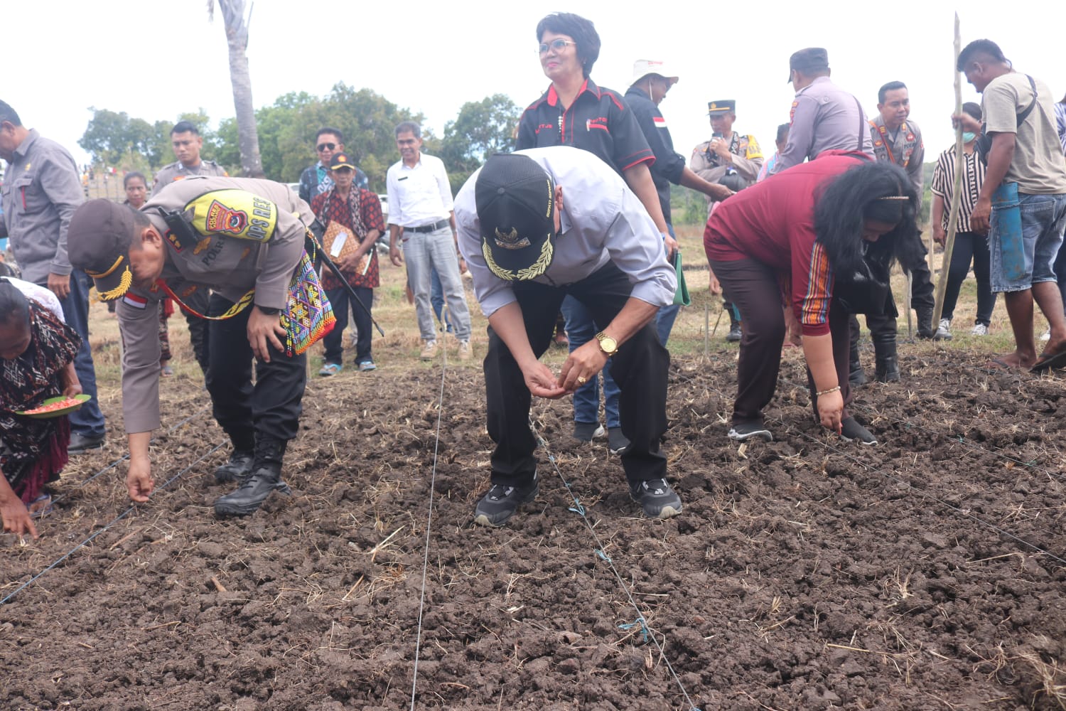 Bupati Kupang Korinus Masneno menanam jagu secara simbolis pada lokasi kebun percontohan di Sulamu. (Foto Prokompim Kabupaten Kupang)