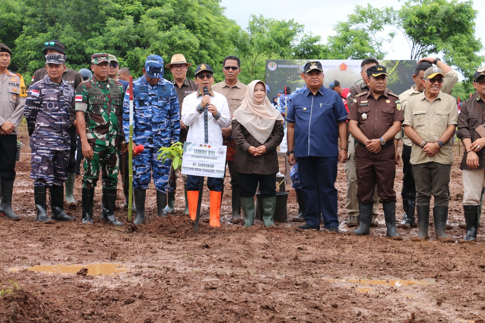 tanam po Penjabat Gubernur NTT Ayodhia G. L. Kalake melakukan penanaman anakan pohon dalam mendukung kelestarian lingkungan di NTT.