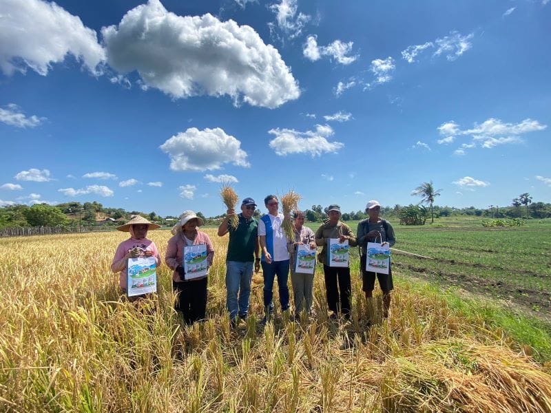 pupuk 1 Direktur Utama Pupuk Indonesia, Rahmad Pribadi, Senin (13/5/2024) melakukan kunjungannya di Pulau Rote, Provinsi Nusa Tenggara Timur (NTT) yang merupakan wilayah paling selatan Indonesia untuk melihat secara langsung ketersediaan pupuk di daerah itu.