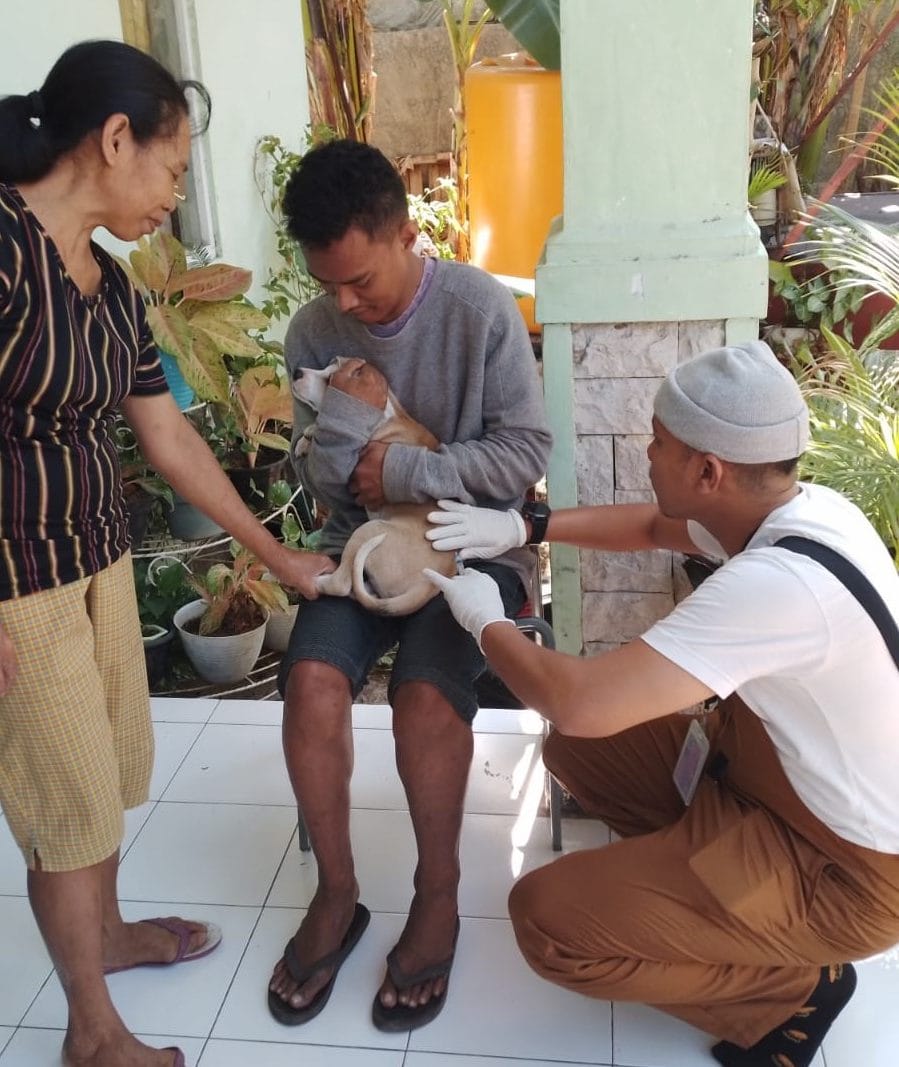 rabies kota baru 1 Drh Prima Haba Ora sedang melakukan vaksinasi terhadap hewan peliharaan warga di Kelurahan Kayu Putih, Kota Kupang, Jumat.