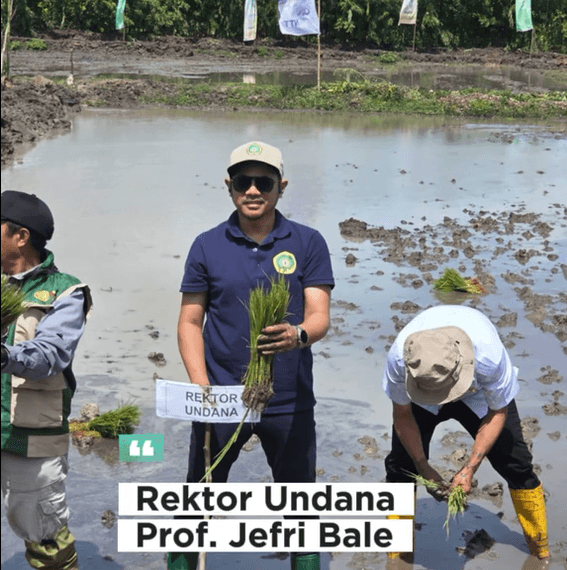 setelah Rektor Undana, Prof. Dr. Ir. Jefri S. Bale, S.T., M.Eng., bersama jajaran Resimen Mahasiswa (Menwa) dan para mahasiswa Undana turun gunung dalam aksi “Gerakan Tanam Padi Serentak” se-Provinsi Nusa Tenggara Timur yang dipusatkan di Desa Manusak, Kabupaten Kupang, Senin (16/2/2026).