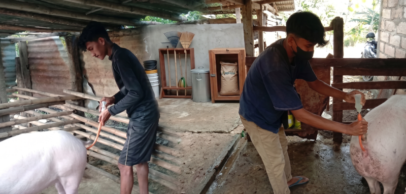 - Dua alumni Program Studi Peternakan, Fakultas Peternakan, Kelautan, dan Perikanan (FPKP) Universitas Nusa Cendana Kupang (Undana) sukses dalam membangun ekosistem peternakan modern yang berdampak langsung bagi masyarakat di Kabupaten Kupang dan Timor Tengah Selatan (TTS).